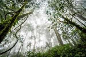 Image courtesy of moggara12 at FreeDigitalPhotos.net